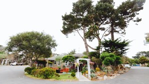 Propiedad residencial con jardín cuidado, cerca viva blanca y un árbol grande en el jardín delantero.
