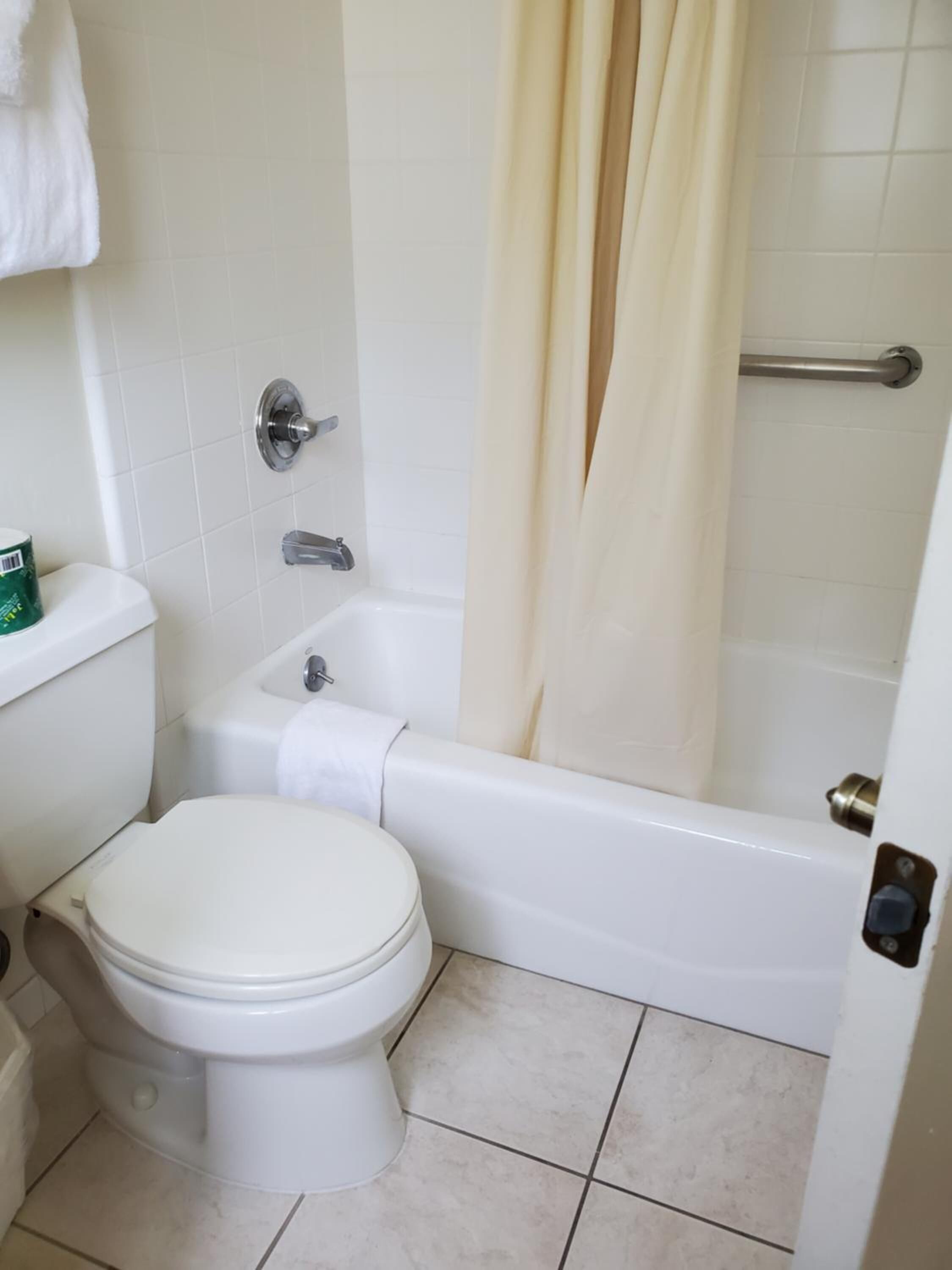 A bathroom with a toilet, a bathtub, and a shower curtain.