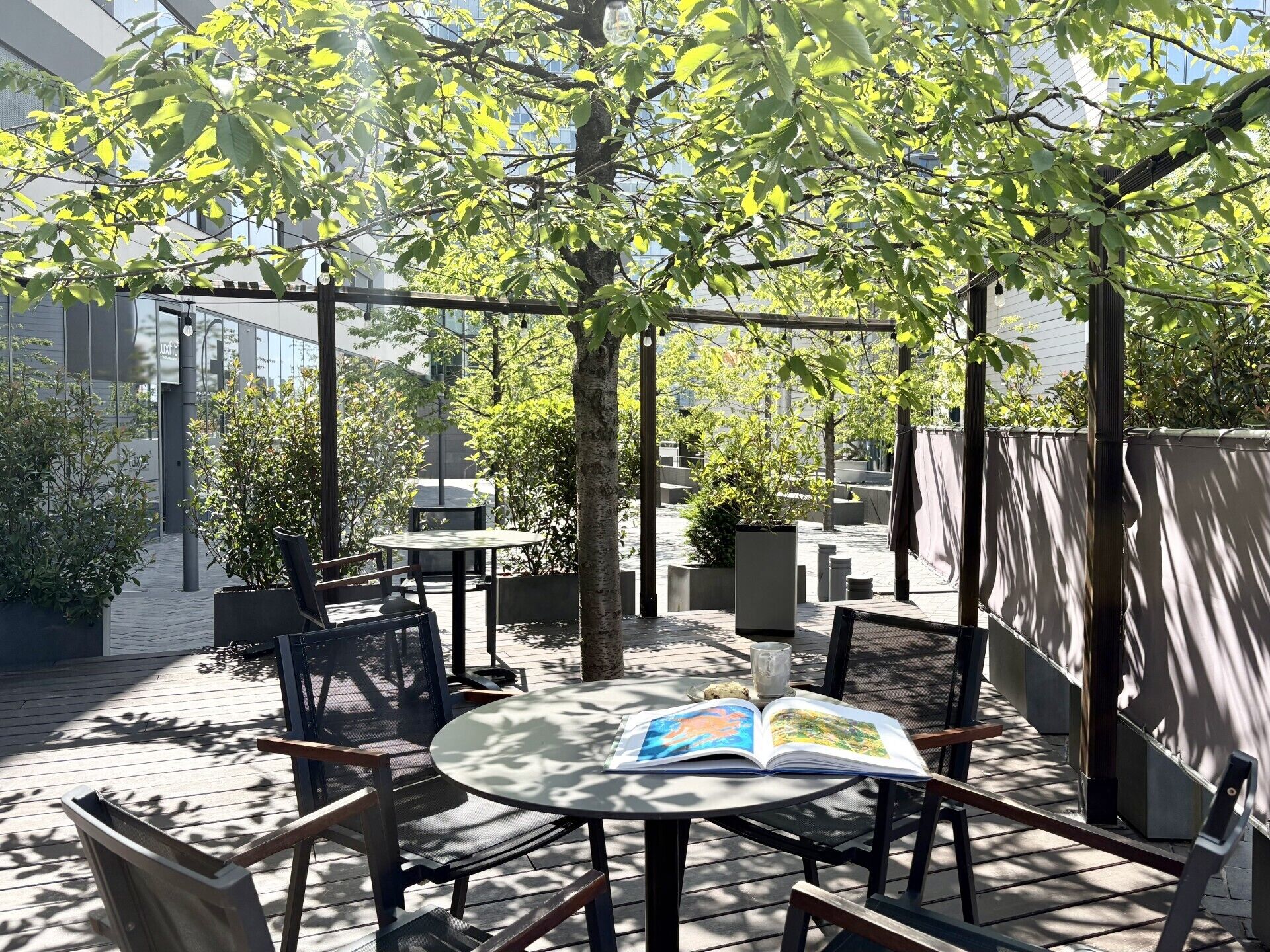 Een terras met tafels en stoelen, omringd door bomen en een gebouw op de achtergrond.