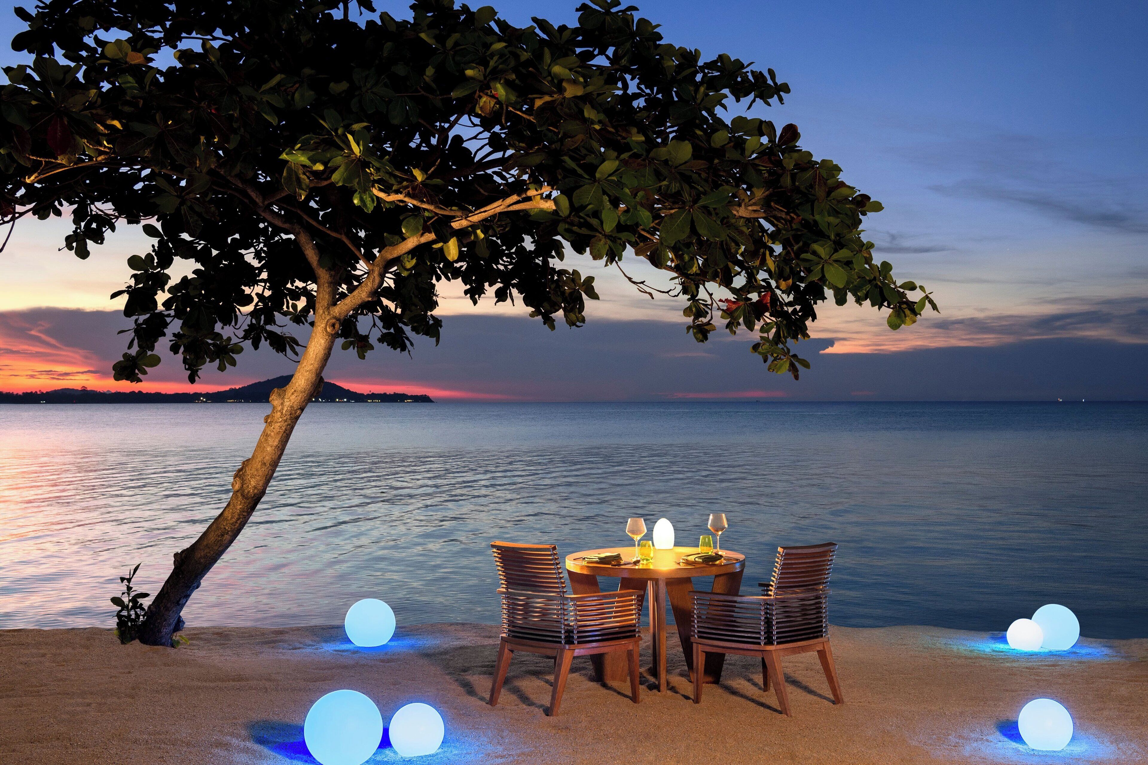 Une table dressée pour deux personnes, avec des chaises, placée sur une plage de sable, offrant une vue sur l’eau et abritée par un arbre.
