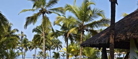 A pathway leading to a thatched-roof structure surrounded by palm trees and a beach in the background.
