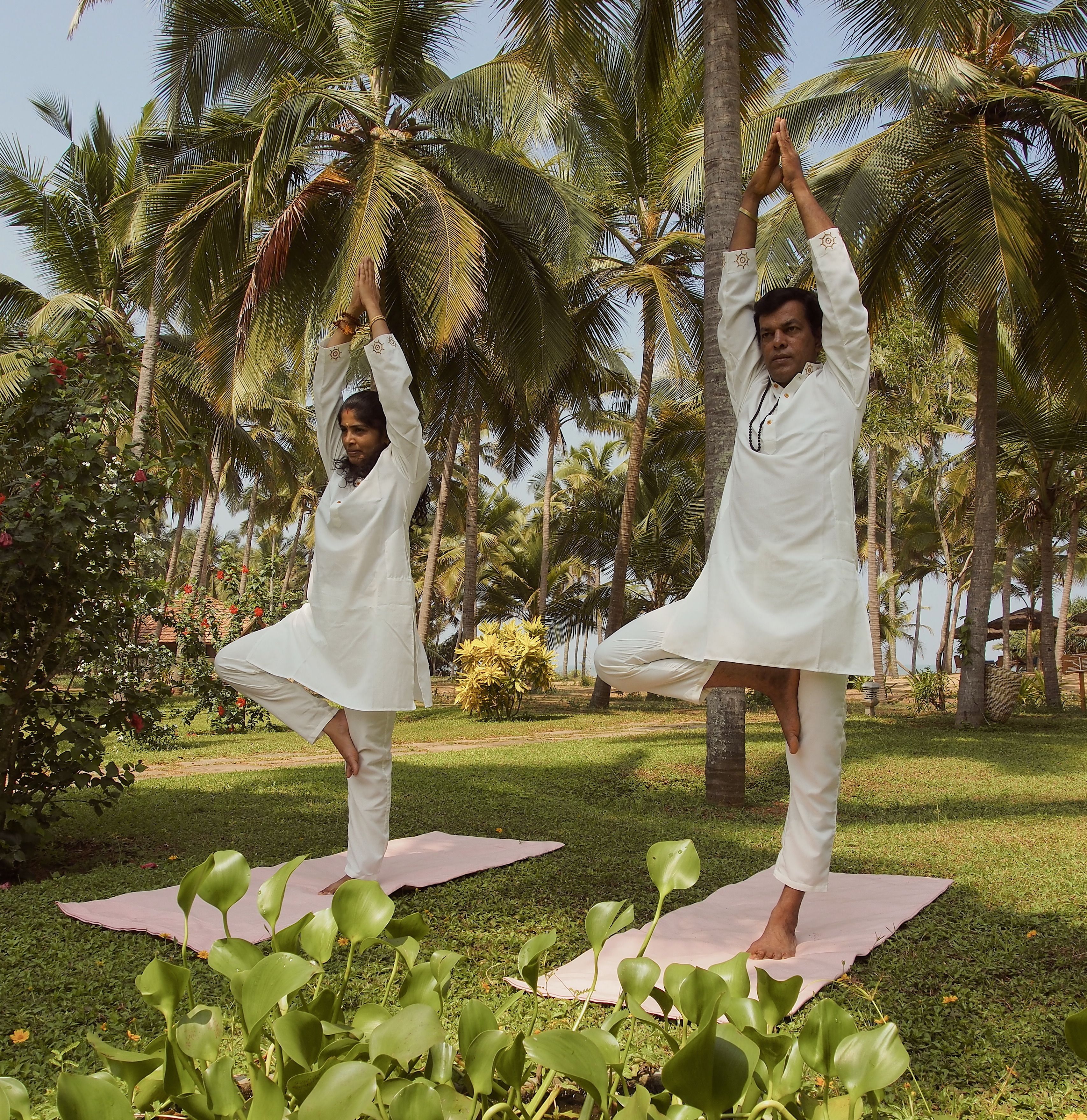 Two individuals performing a yoga pose on mats in a garden with palm trees.