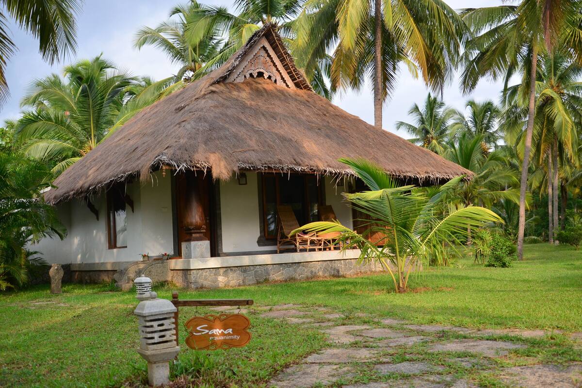 A thatched-roof house with a porch, surrounded by palm trees.
