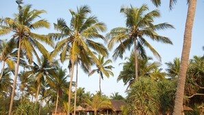 A beachside resort with palm trees, thatched-roof huts, and outdoor seating areas. - Neeleshwar Hermitage (Hosdurg)