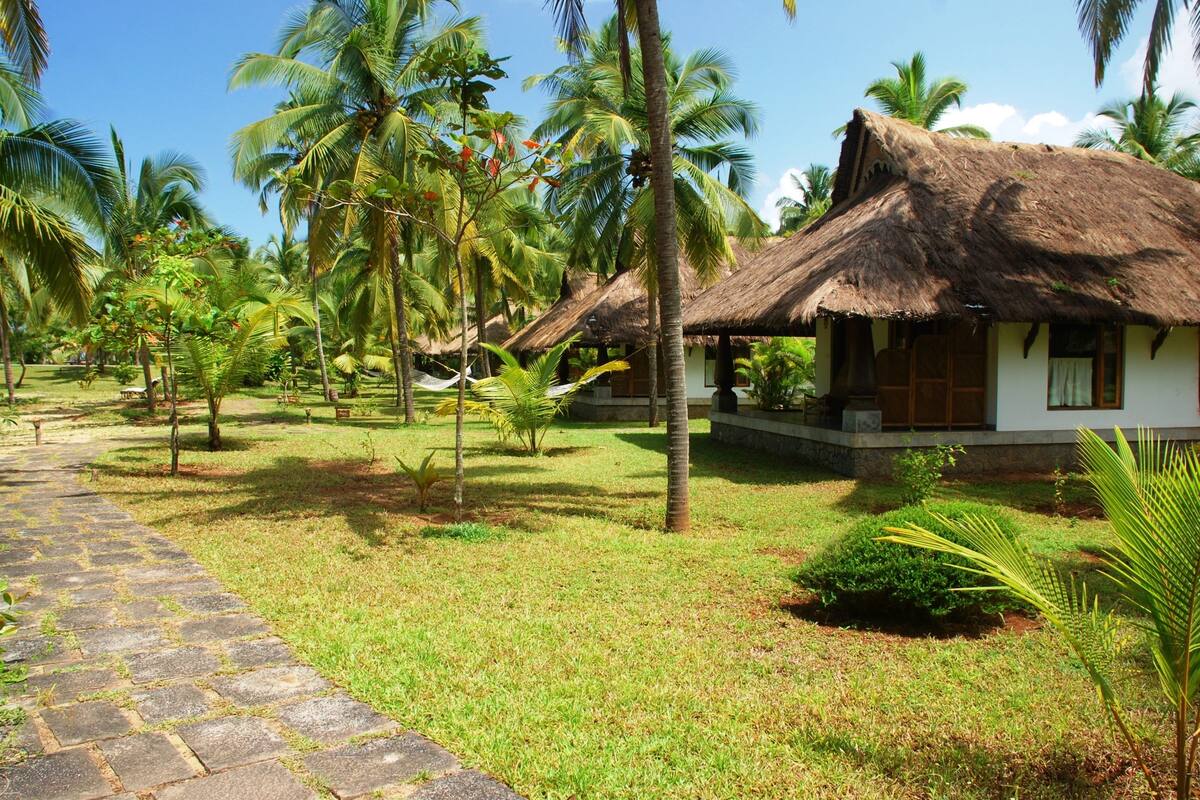 A thatched-roof house with a paved pathway leading to it, surrounded by palm trees and grass.