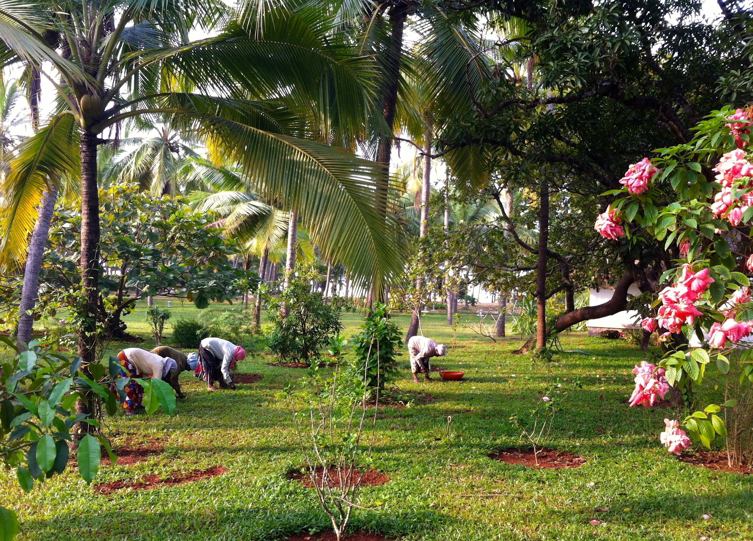 Een tuin met palmbomen en bloeiende planten, waar mensen de planten verzorgen.