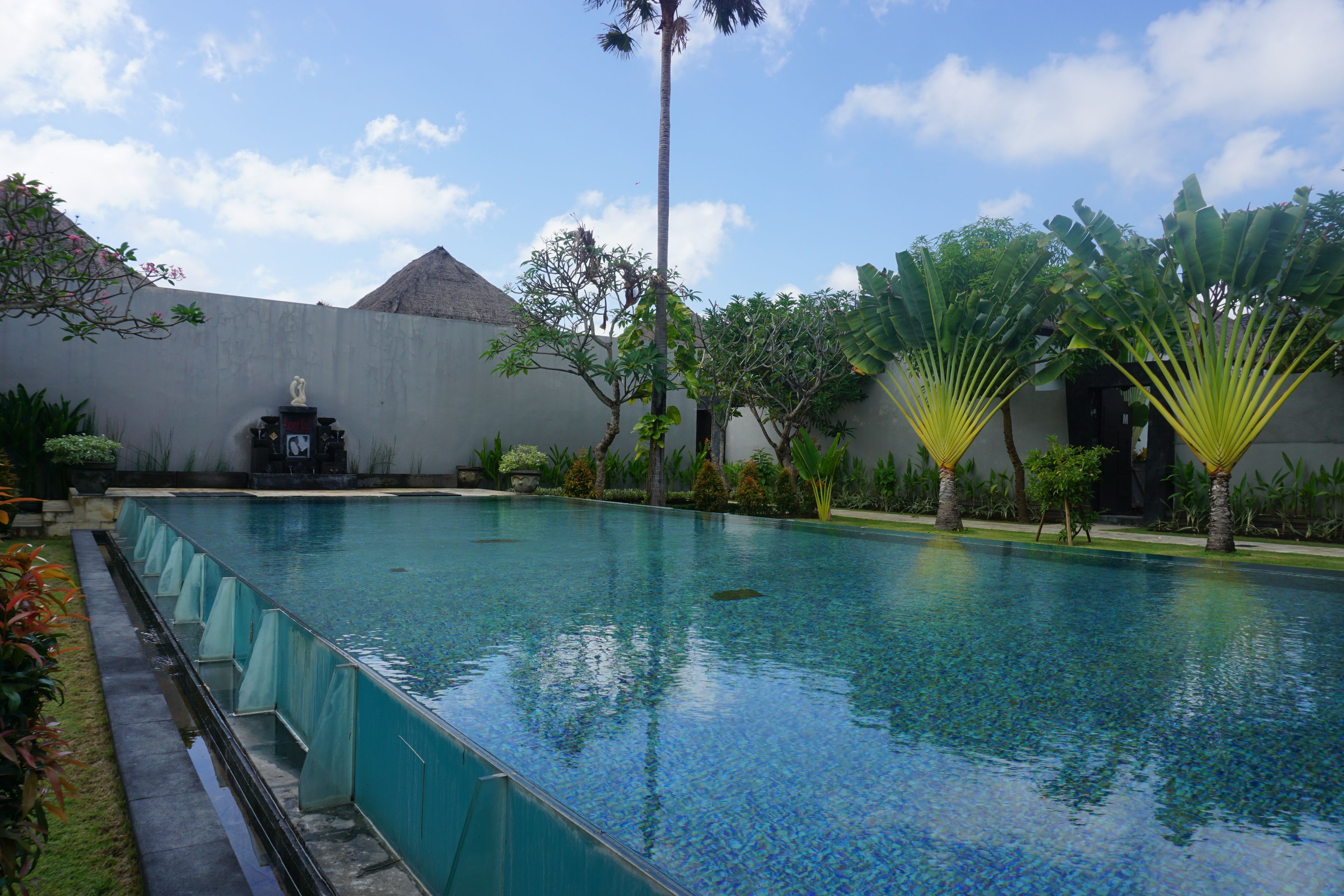 Une piscine rectangulaire à l’eau d’un bleu limpide, entourée d’un petit muret en pierre et de diverses plantes tropicales.