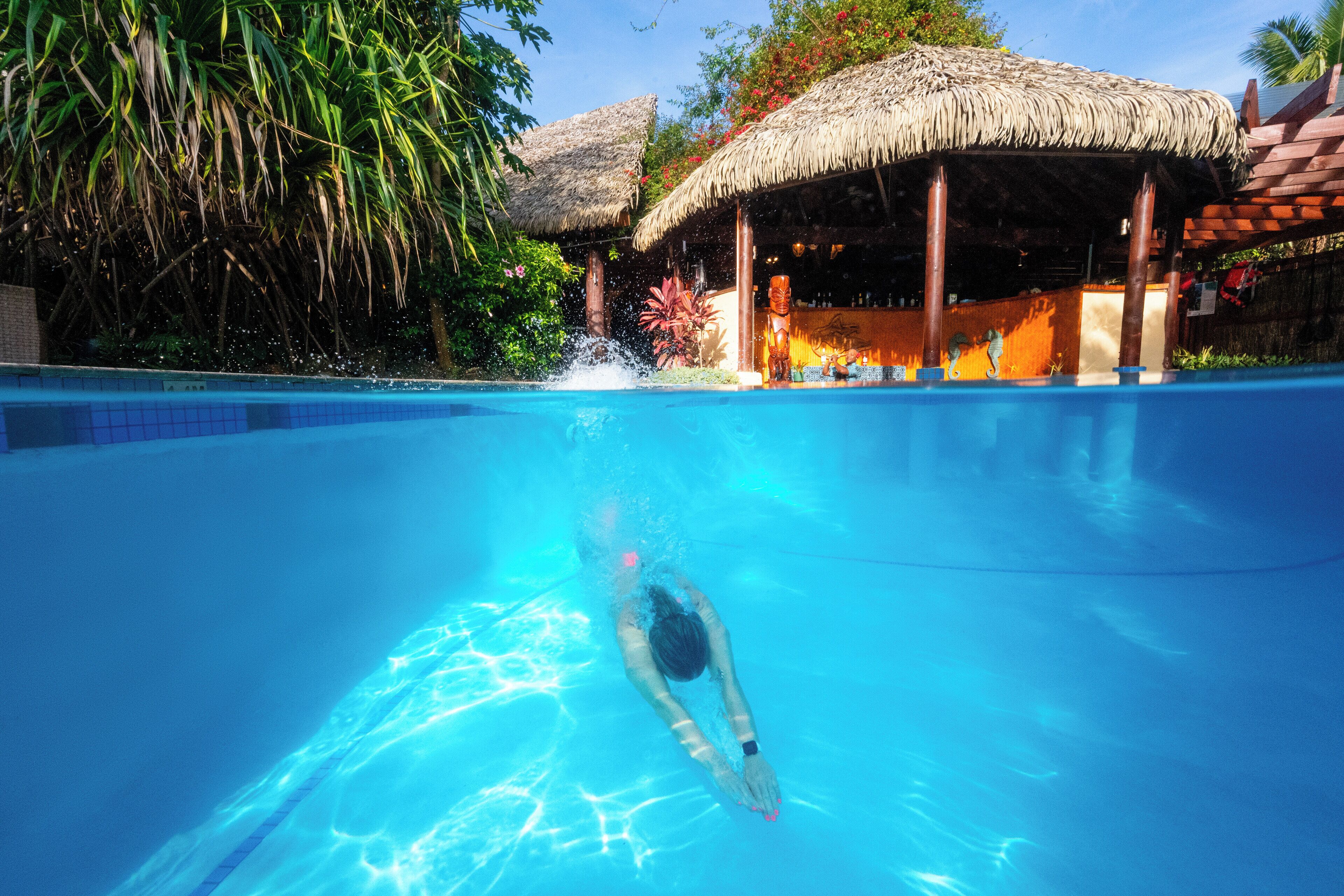 A swimming pool with clear blue water, surrounded by tropical vegetation and a thatched-roof structure.