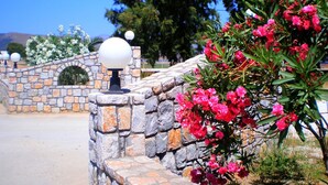 A stone wall with a spherical light fixture and blooming pink flowers. - Galini Beach Hotel (Kissamos)