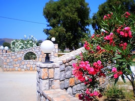 Jardín