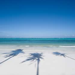 Na praia, areia branca, prática de mergulho autônomo