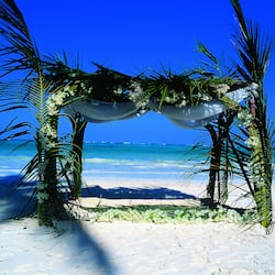 Outdoor wedding area