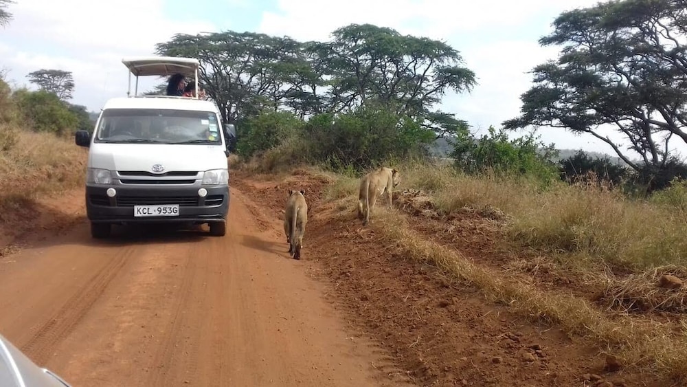 Khweza Bed & Breakfast Nairobi by null