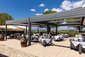Lunch, dinner served; local cuisine, garden views - Riserva di Fizzano Residence (Castellina in Chianti)