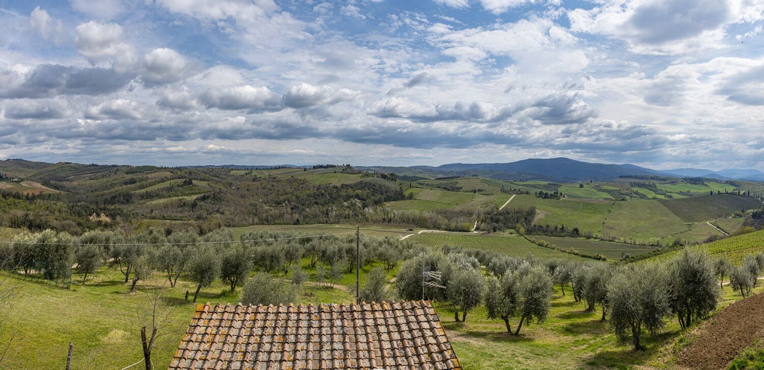 Paisagem rural com oliveiras, colinas ondulantes e uma construção com telhado de terracota em primeiro plano.