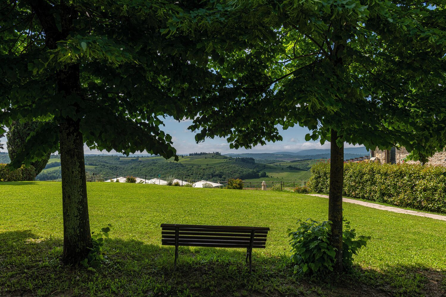 A bench in a grassy area with trees and a view of rolling hills in the background.