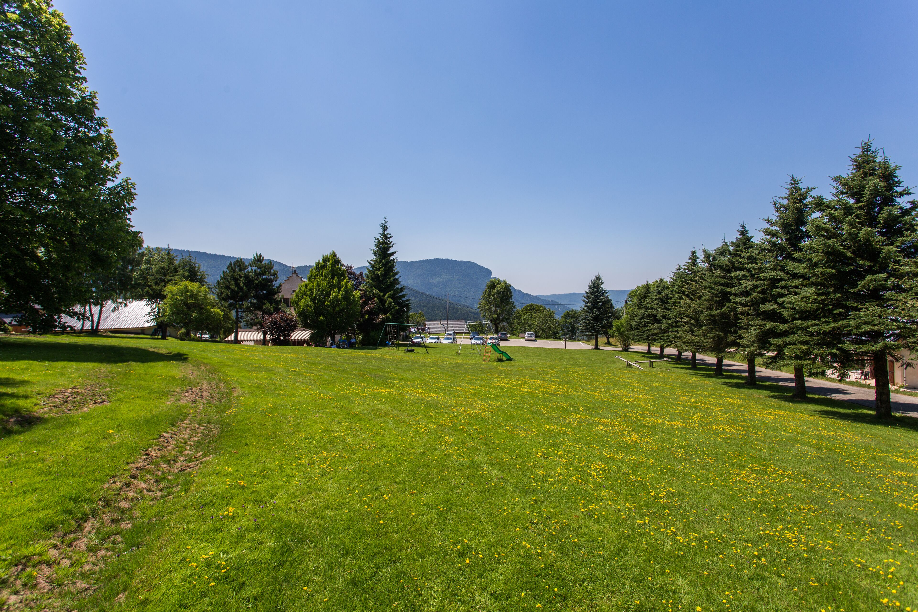 A grassy park with trees, a playground, and a mountain in the background.