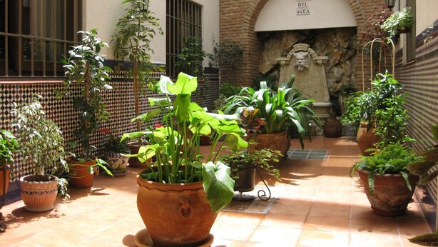 A courtyard with potted plants, a tiled floor, a brick wall, and a stone fountain. - Hostal Palomares (Salobreña)