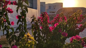 A building with a modern design, featuring a prominent balcony with pink flowers and a view of the sunset. - Blue Harmony Apartments (Naxos)