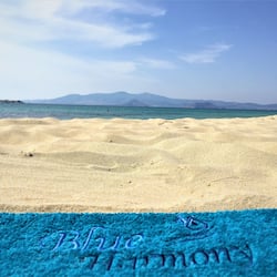 Trên bãi biển, chèo thuyền/bơi xuồng