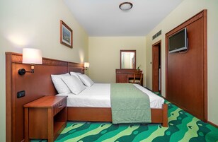Ein Hotelzimmer mit einem hölzernen Bett, Nachttischen, einem Fernseher, einem Spiegel und einem grün gemusterten Teppich.