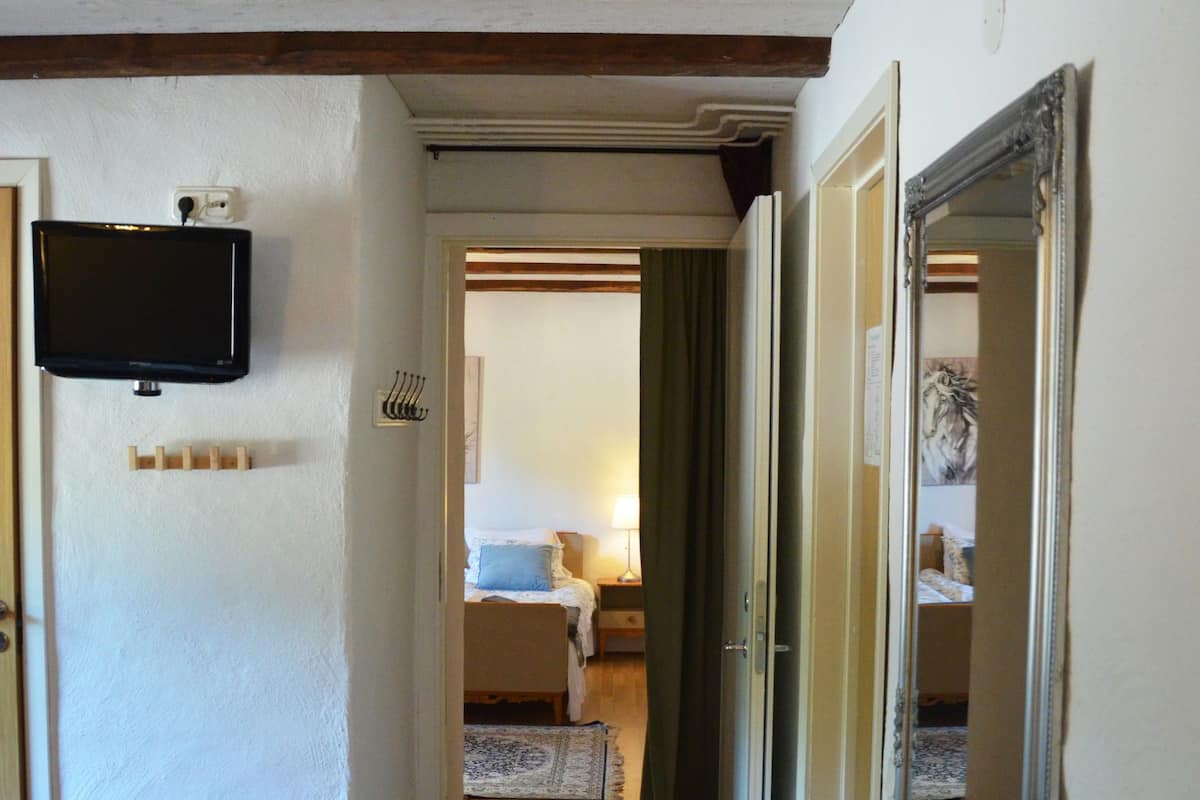 A hallway with wooden floors, a purple rug, a television mounted on the wall, and a mirror on the right.