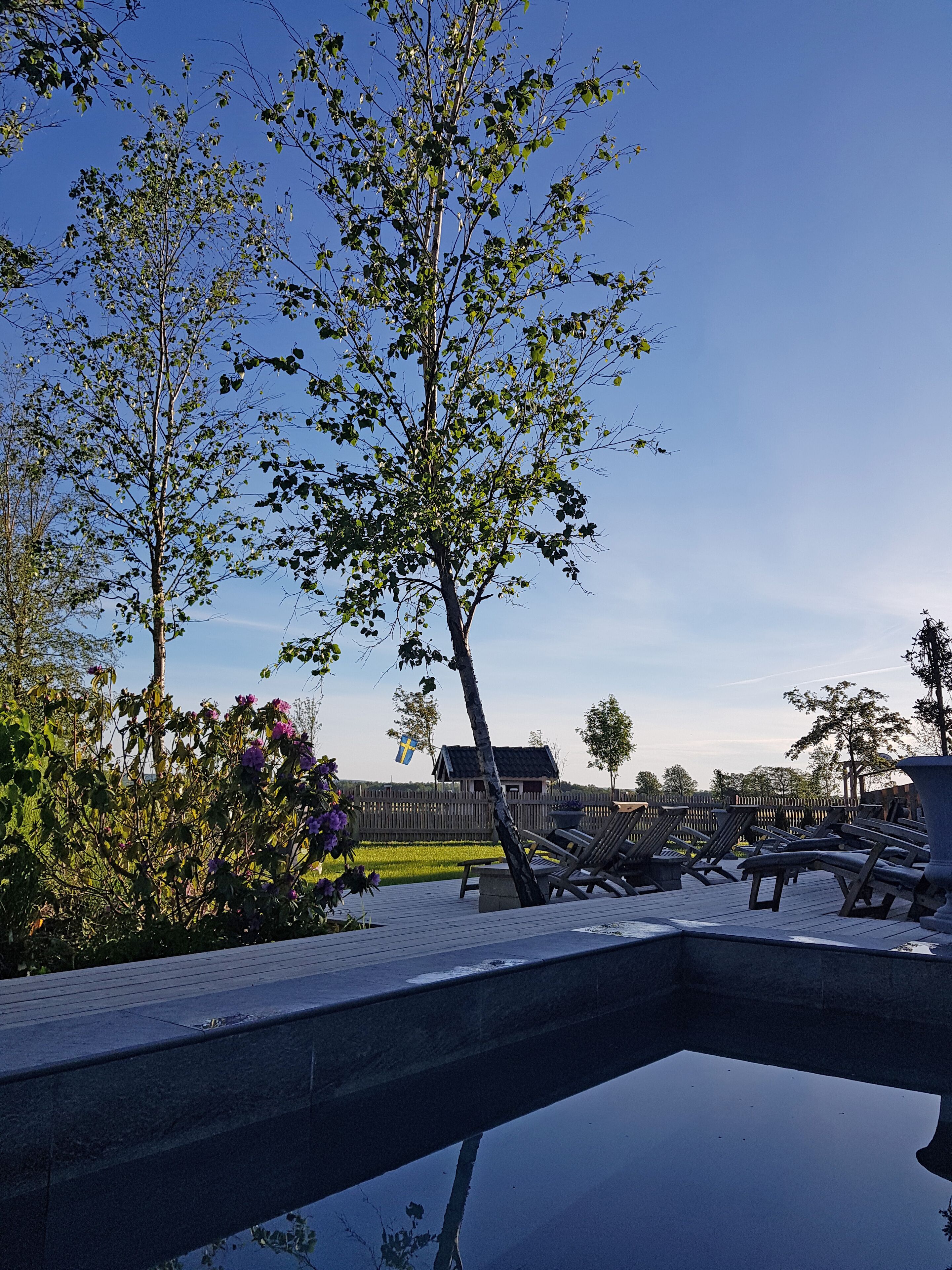 Een sauna, een bubbelbad, een stoombad, warm/mineraalwaterbronnen