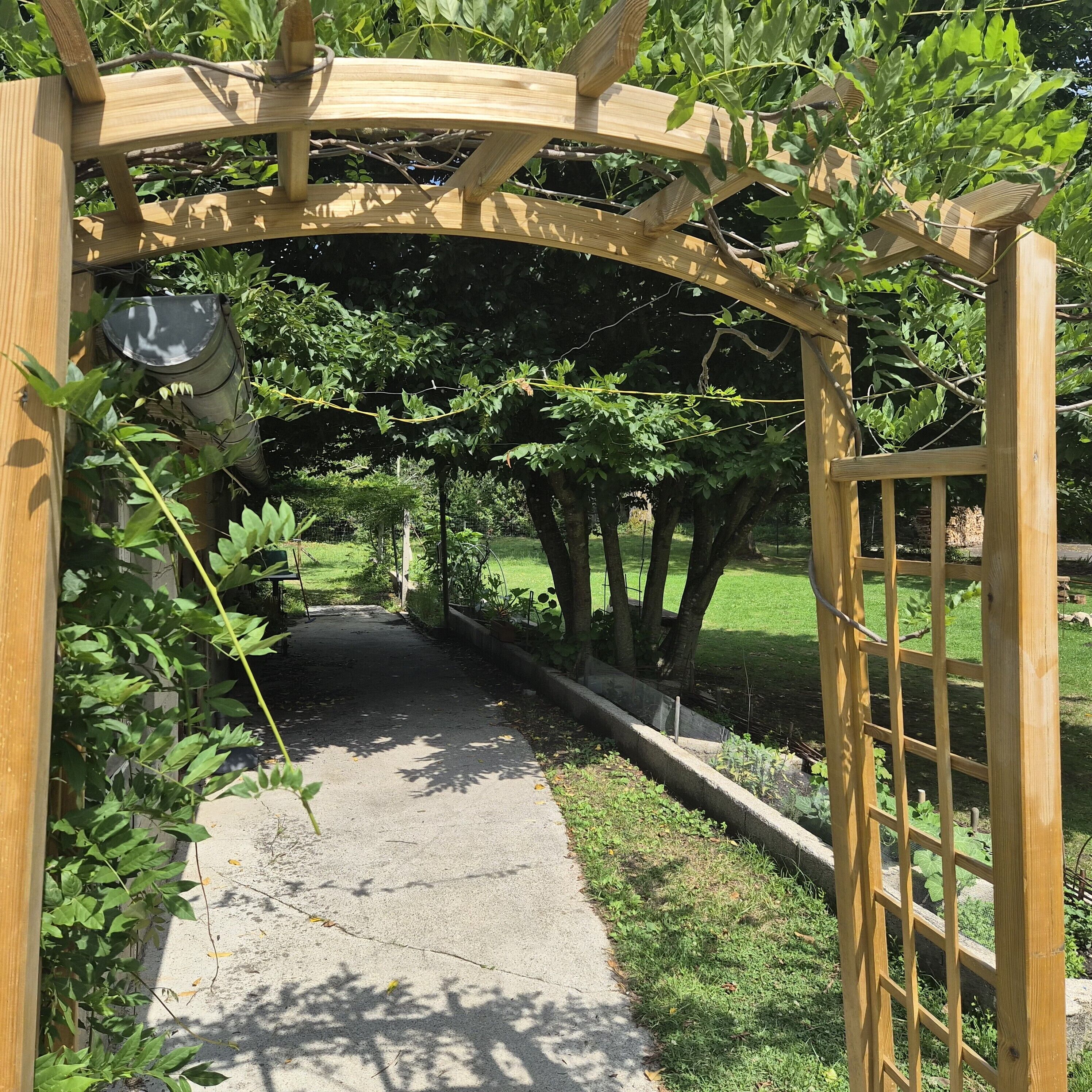 A wooden pergola structure with a pathway underneath.