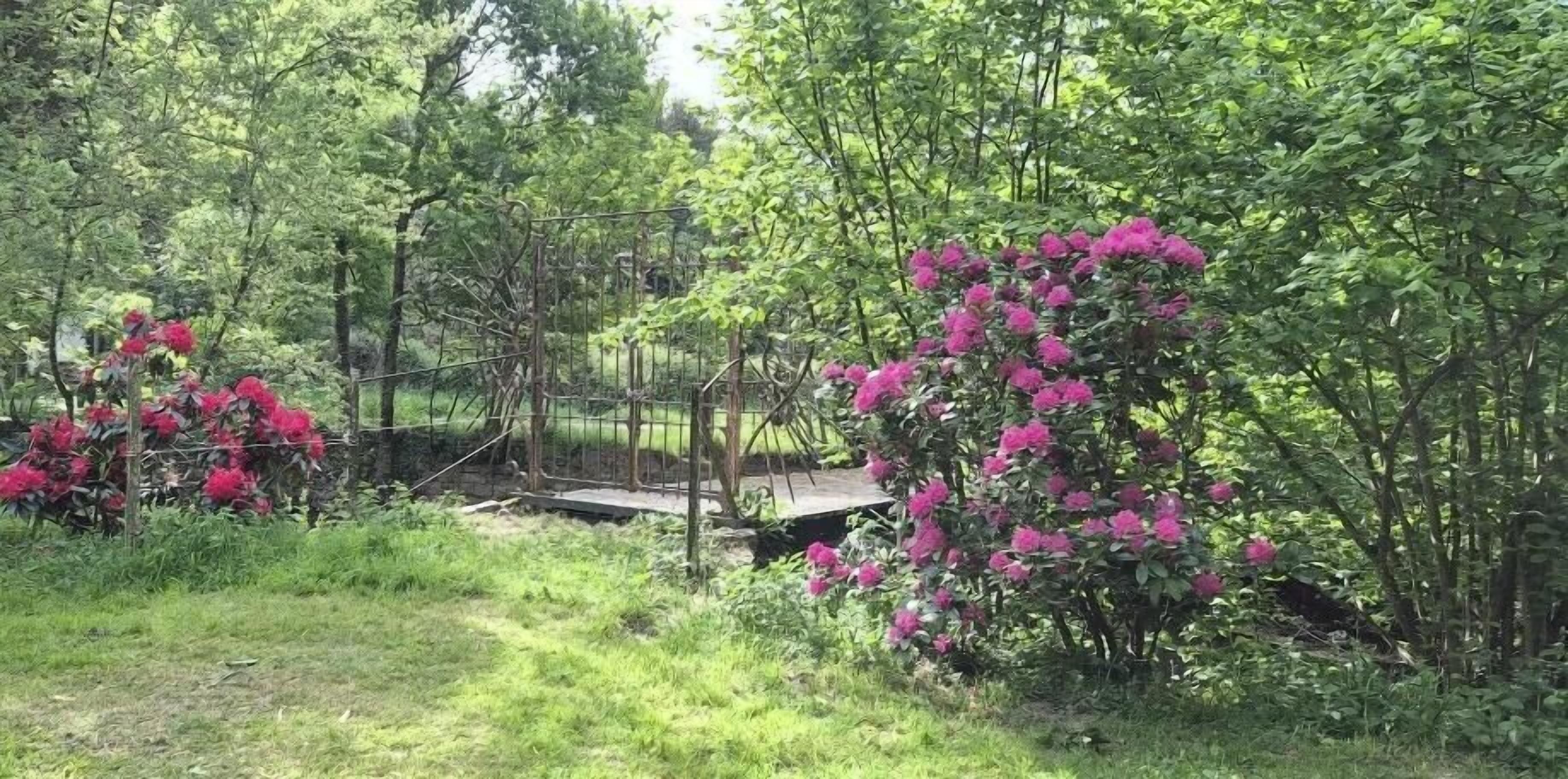 Un jardín con un puente de madera y plantas florecientes.