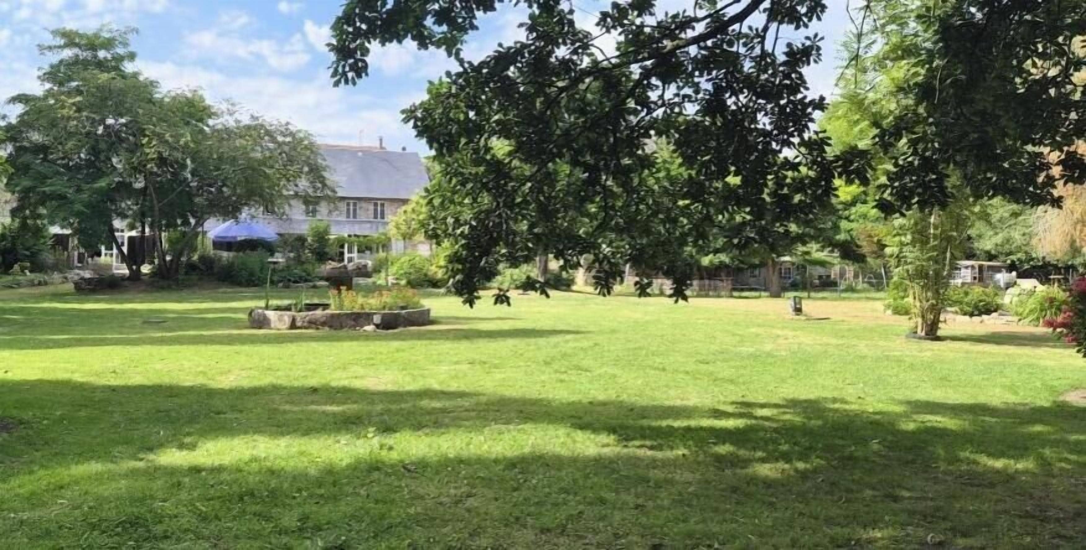 A grassy courtyard with trees, a stone bench, and a building in the background.