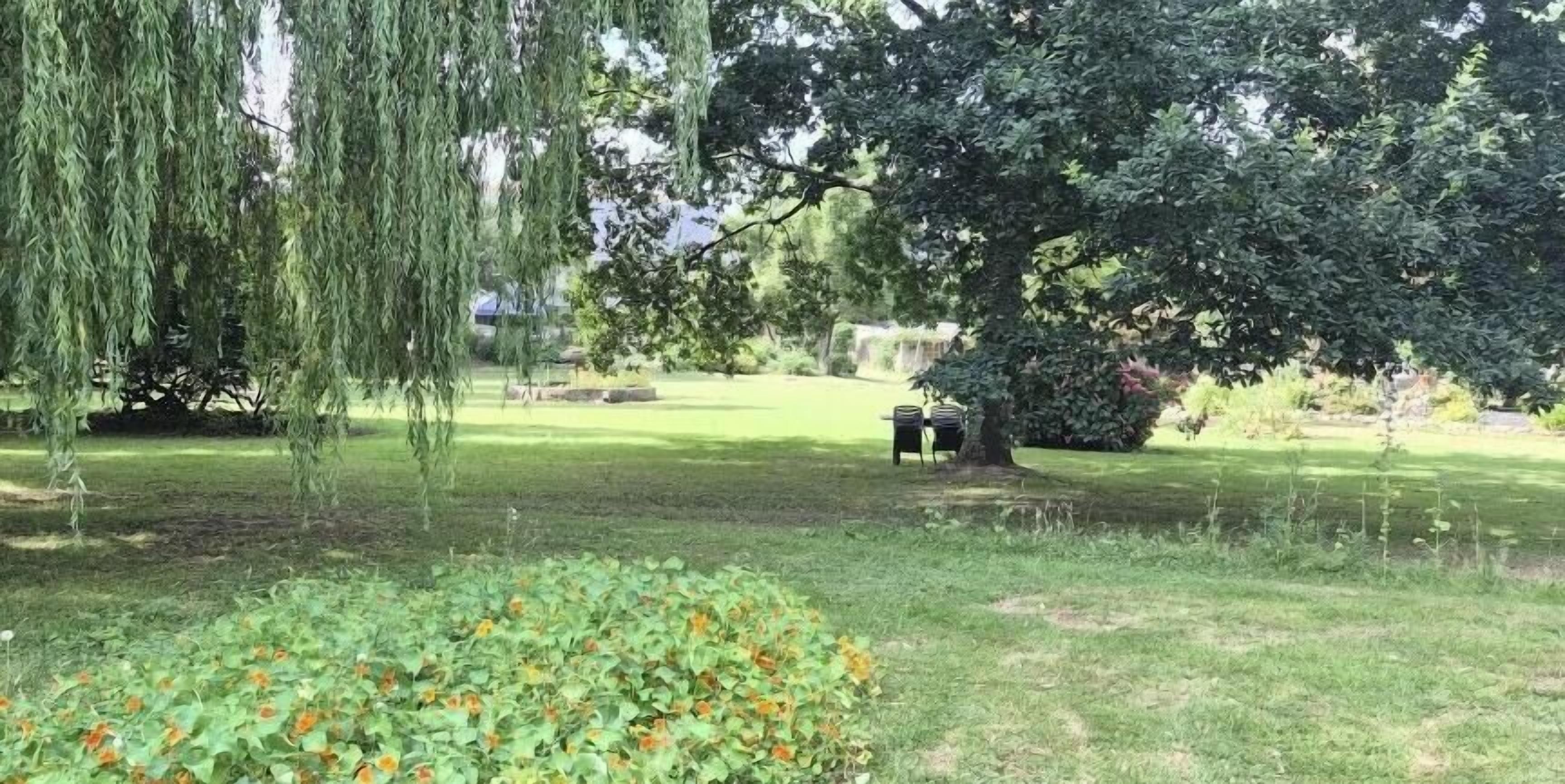 A park with a bench, trees, and a grassy area.