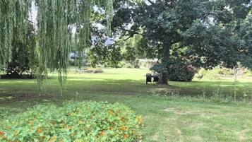 A park with a bench, trees, and a grassy area.
