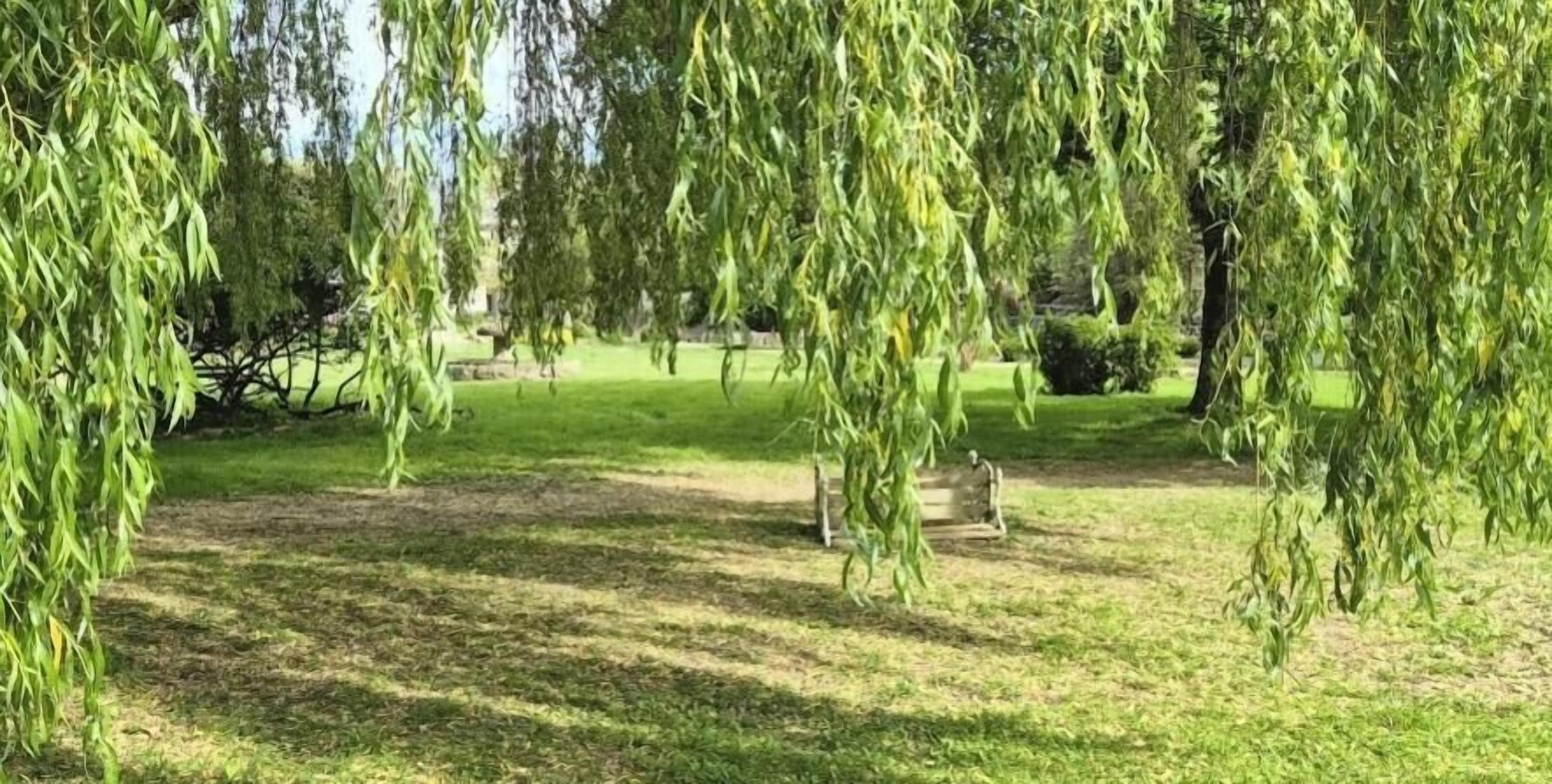 Un parco con una panchina e alberi.