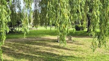 A park with a bench and trees.