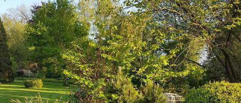 Standaard kamer, 2 eenpersoonsbedden | Balkon