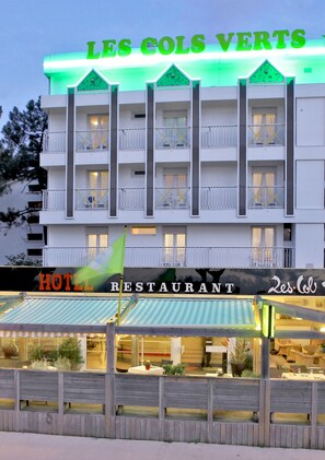Front of property - evening/night - Les Cols Verts (La Tranche-sur-Mer)