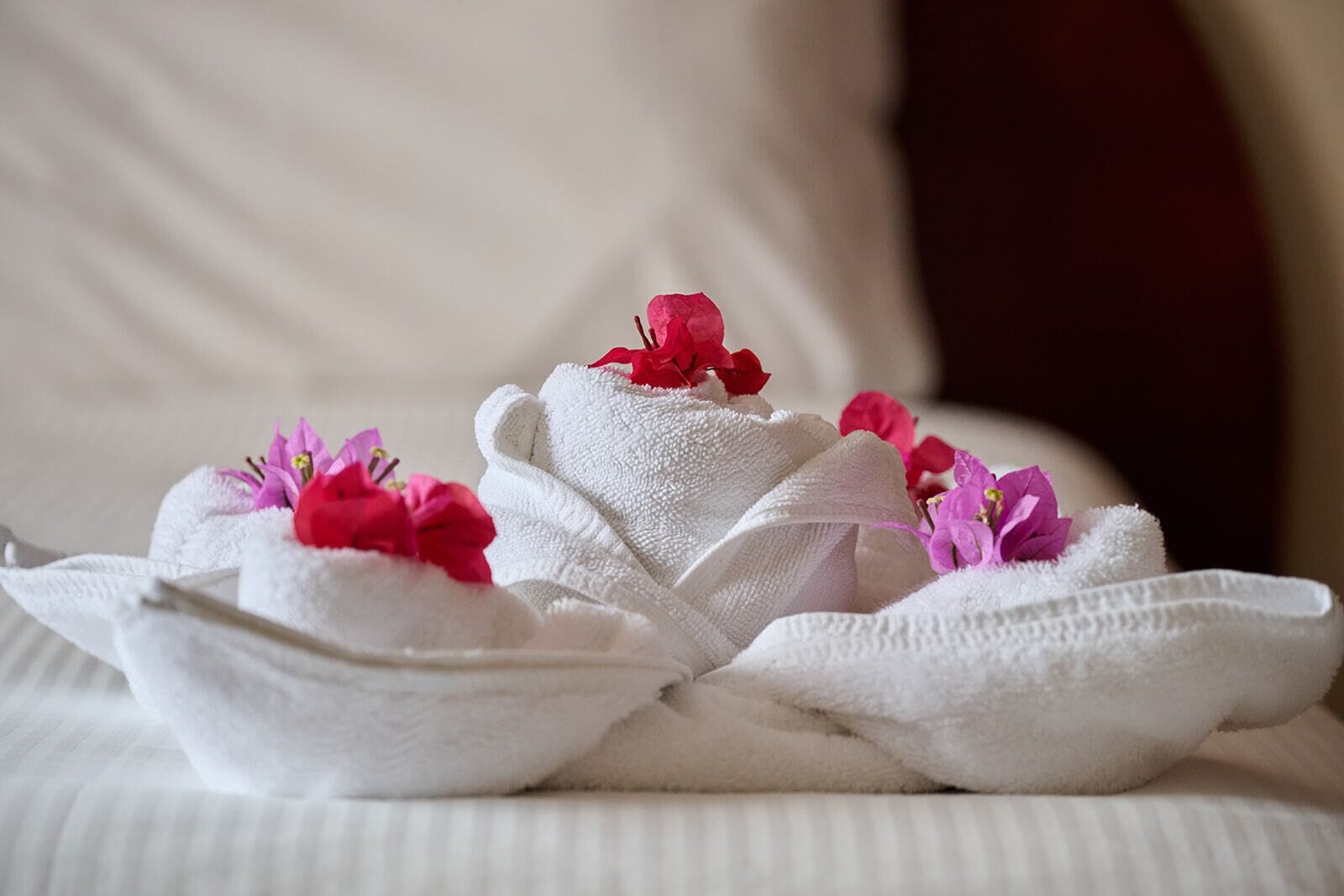 Photo - Inn & Art Madeira