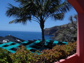 A view of a coastal area with a palm tree, a clear blue sky, and a body of water.