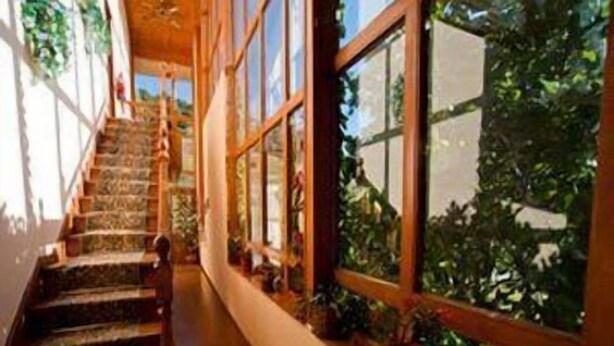 Una escalera de madera con barandillas de vidrio que conduce a una habitación con ventanas amplias y plantas en macetas.