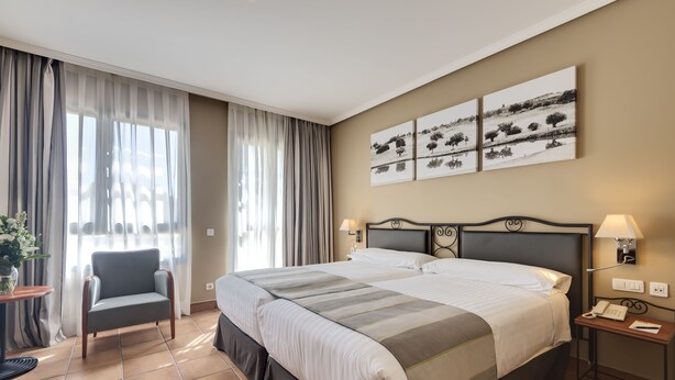 Una habitación de hotel con una cama grande, una silla, un escritorio y una ventana con cortinas.
