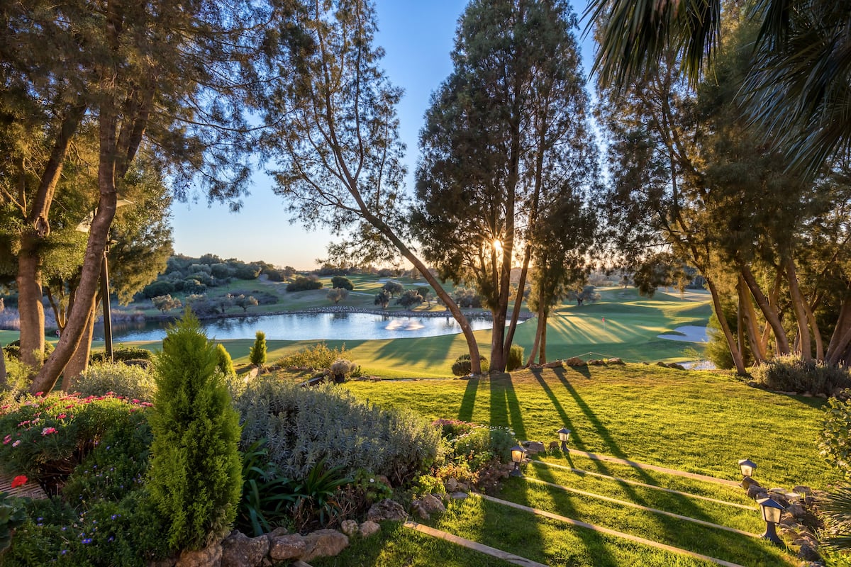 view from property