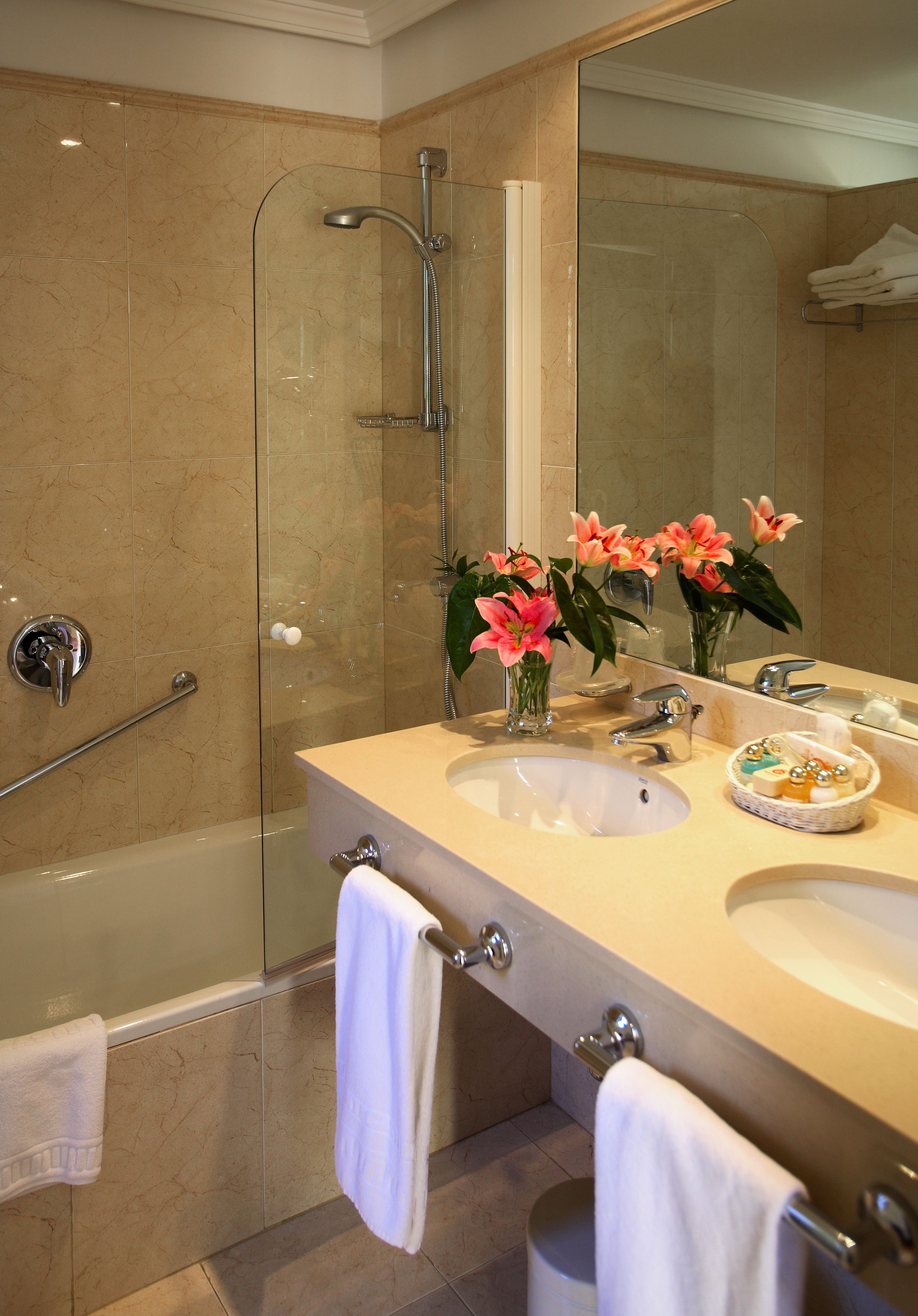 combined shower/bathtub, free toiletries, hair dryer, bidet