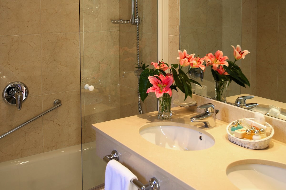 combined shower/bathtub, free toiletries, hair dryer, bidet