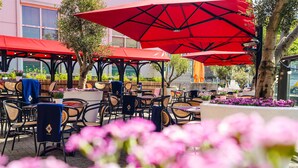 An outdoor seating area with red umbrellas, wicker chairs, and potted plants. - Hilton The Hague (The Hague)