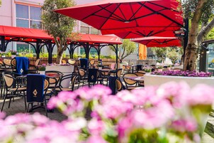 Breakfast, lunch, dinner served; international cuisine 