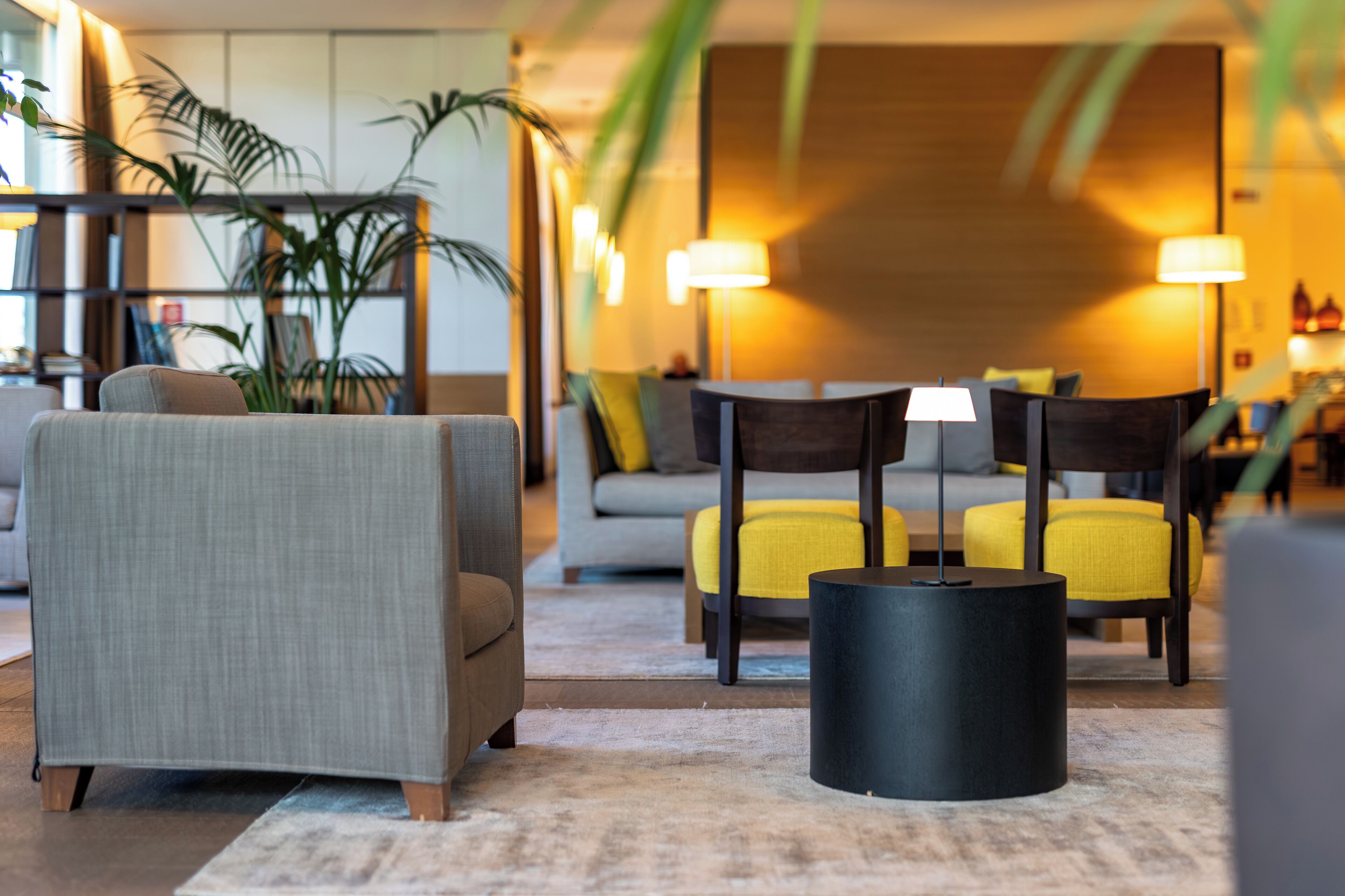 起居区