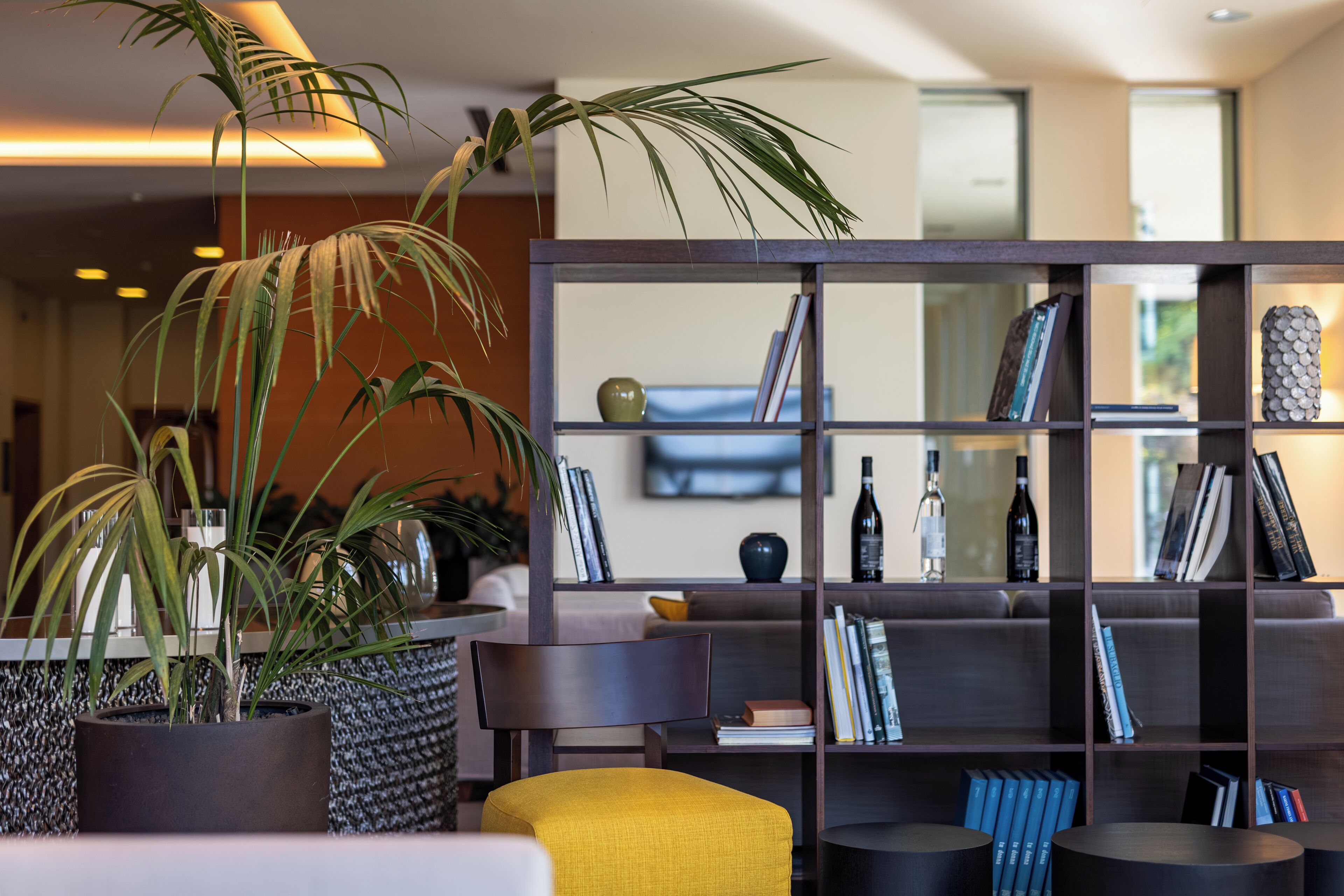 Una sala moderna con una estantería, un sofá y una planta en maceta.