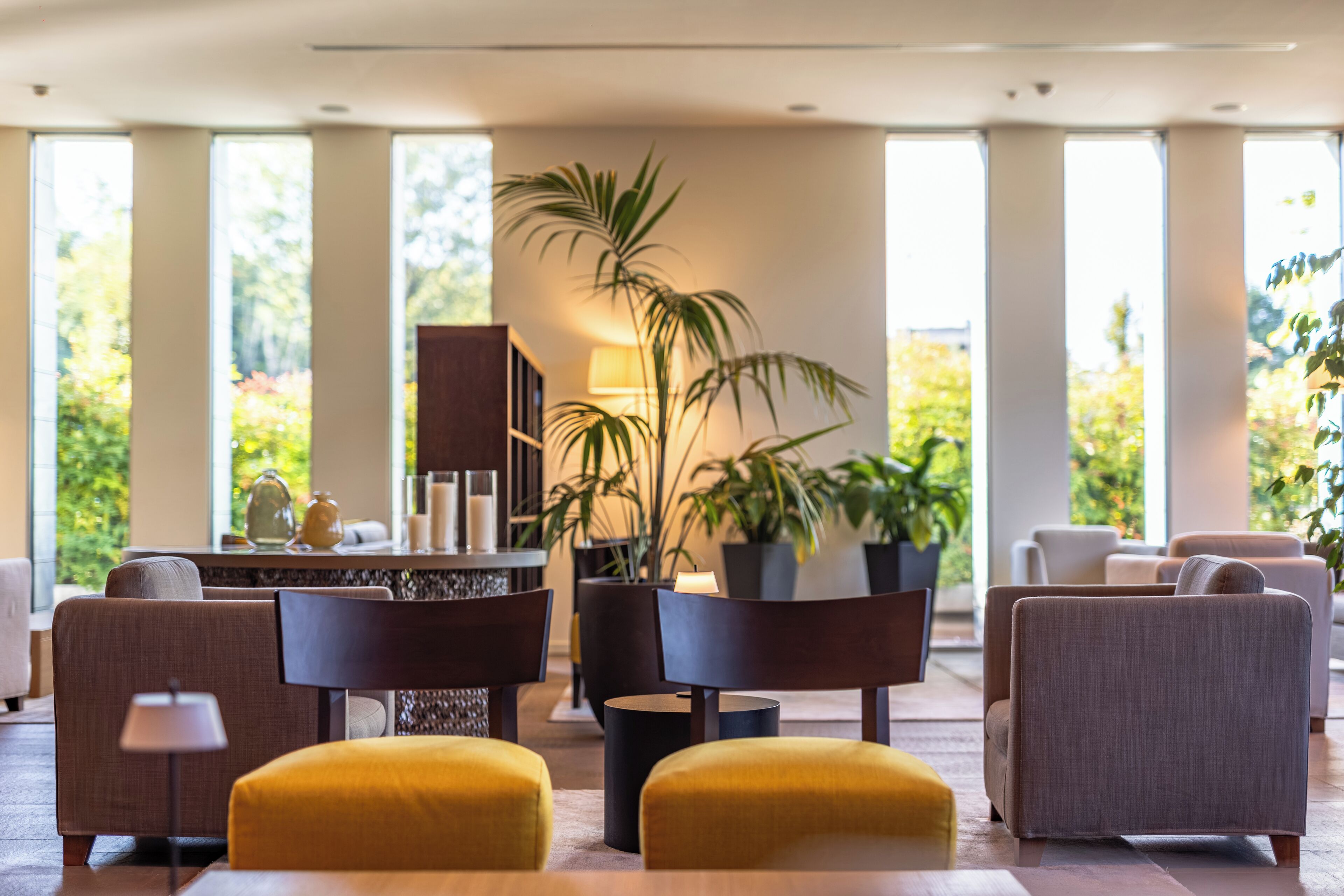 Flachbildfernseher, Pay-TV