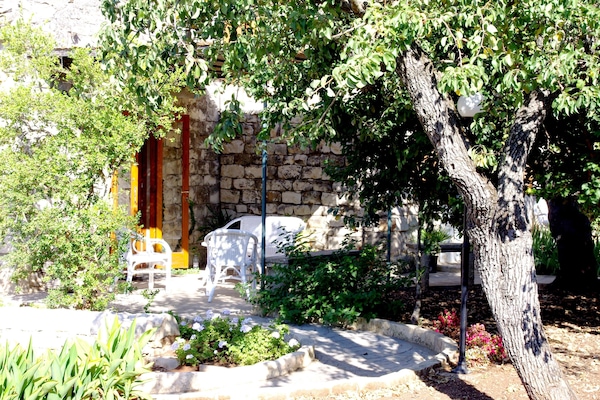 Jardín