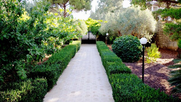 Un sendero en un jardín con setos y árboles podados.